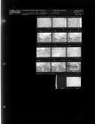 Car wreck (13 Negatives) (October 31, 1963) [Sleeve 36, Folder f, Box 30]